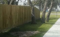 Privacy Fencing