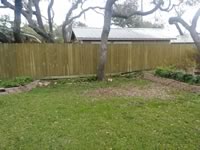 Privacy Fencing